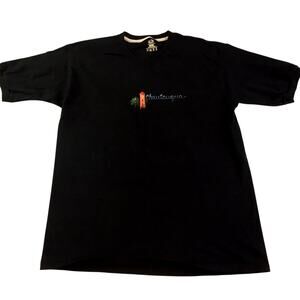 Chautauqua T-Shirt V-Neck Miller Bell Tower Size Large